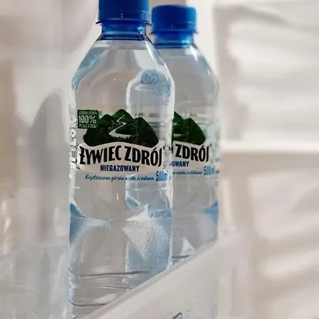 Апартаменти Stylowe Poddasze Krola Augusta Ряшів