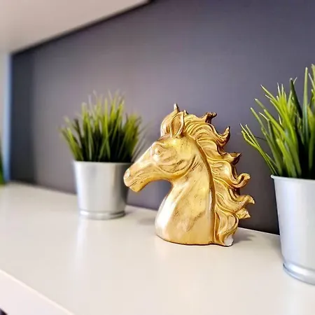 Stylowe Poddasze Krola Augusta Apartment