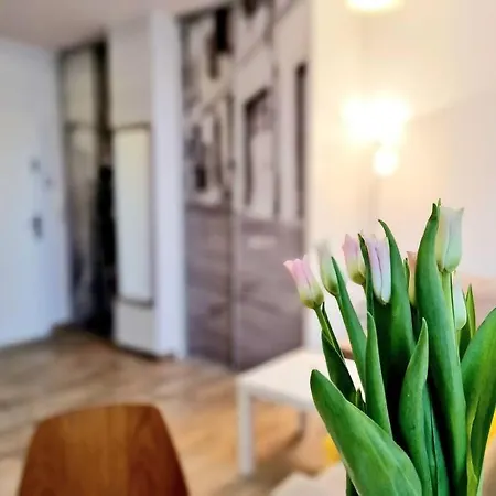 Stylowe Poddasze Krola Augusta