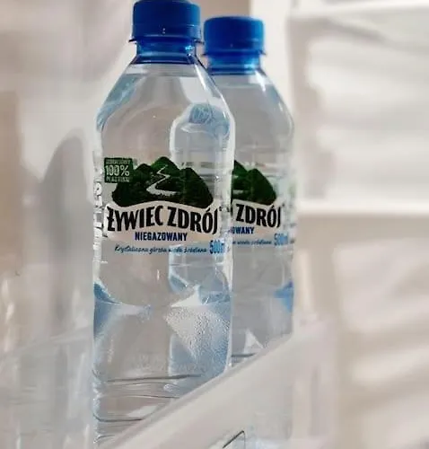 Apartment Stylowe Poddasze Krola Augusta Rzeszow