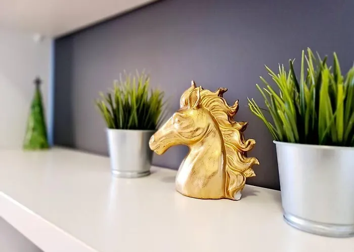 Stylowe Poddasze Krola Augusta Apartment